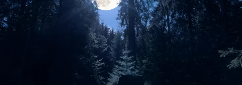 Vollmond