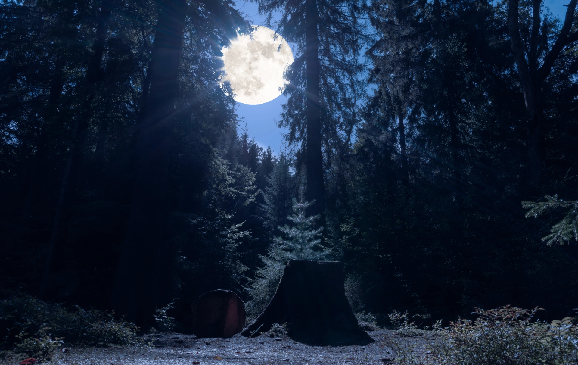 Vollmond