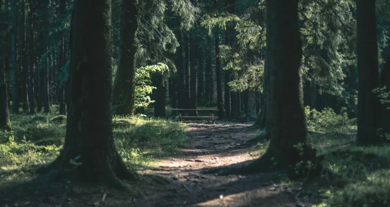 Der Weg ist das Ziel